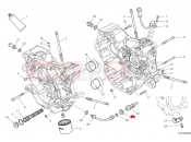 DUCATI 2025 Monster Plus Crankcase bearings