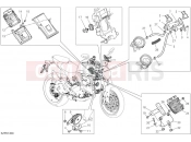 DUCATI 2025 Monster Plus Electrical devices (1)