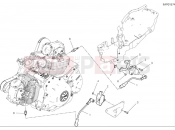 DUCATI 2025 Scrambler Icon Wiring harness