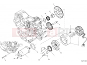 DUCATI Monster Senna Electric starting
