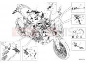 DUCATI 2025 Multistrada V2 S Wiring harness