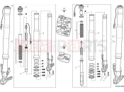 DUCATI Multistrada V4 S Front fork (Asia)