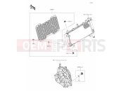 KAWASAKI NINJA 650 (EX650PPFNN) 66 Accessory(Radiator Screen and Cap)
