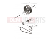 Rear Wheel - Triumph DAYTONA 660cc > CM3406 2024