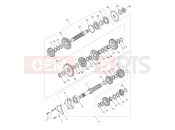 Transmission - Triumph DAYTONA 660cc > CM3406 2024