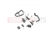 Emissions Control System - Triumph DAYTONA 660cc > CM3406 2024