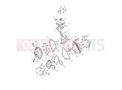 Engine Covers - Triumph DAYTONA 660cc > CM3406 2024
