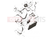 Cooling System - Triumph DAYTONA 660cc > CM3406 2024