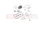 Triumph 2025 SPEED TRIPLE 1200 RX Engine Service Kit