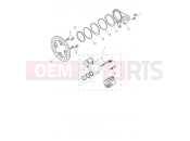 Triumph 2025 SPEED TRIPLE 1200 RX Rear Brake Caliper & Discs