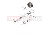 Rear Wheel & Final Drive - Triumph SPEED TRIPLE 1200 RS - CD3148 > 2025