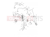 ABS System - Triumph SCRAMBLER 1200 XE - CL1737 > 2025