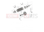 Triumph 2026 SPEED TWIN 1200 Clutch