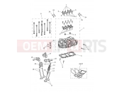 Triumph 2025 SPEED TWIN RS 1200 Cylinder Head & Valves