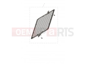 TRIUMPH Speed 400 Radiator Guard