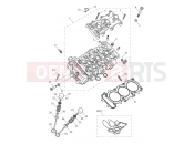 Triumph 2026 TIGER 900 Desert Cylinder Head & Valves