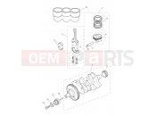 Triumph 2026 TIGER 900 Desert Crankshaft, Connecting Rods, Pistons & Liners