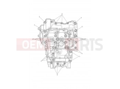 TRIUMPH TIGER 900 Crankcase Bolts