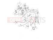ABS System - Triumph Tiger 1200 GT Pro 2025