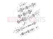 Triumph 2026 Tiger 1200 GT Pro Transmission