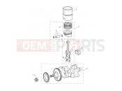 Crankshaft,ConnectingRods Piston - Triumph TIGER SPORT 750470 > 2020