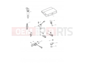 Engine Management System - Triumph TIGER SPORT 750470 > 2020