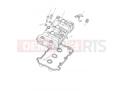 Cam Cover - Triumph TIGER SPORT 750470 > 2020