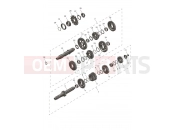 Transmission - Triumph TF250-E 2025