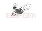 Crankcase - Triumph TF250-E 2026