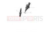 Engine Management System - Triumph TF250-E 2026