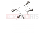 Indicators - Triumph TF250-E 2026