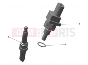 Engine Management System - Triumph TF250-E 2025