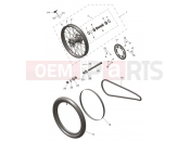 Rear Wheel - Triumph TF250-X CS6090 > 2023