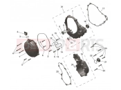 Engine Covers - Triumph TF250-X > CC7868 2026