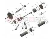 Lubrication System - Triumph TF250-X > CC7868 2026