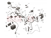 Electrical System - Triumph TF250-X > CC7868 2026