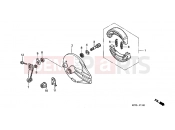 F-11 REAR BRAKE PANEL - Honda CBF2504 CBF250 2004